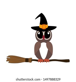 Halloween owl witch illustration on the white background. Vector illustration