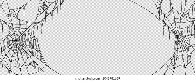 Halloween party background with spiderwebs isolated png or transparent texture,blank space for text,element template for poster,brochures, online advertising,vector illustration 