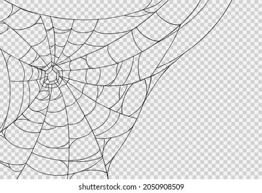 Halloween party background with spiderwebs isolated png or transparent texture,blank space for text,element template for poster,brochures, online advertising,vector illustration 