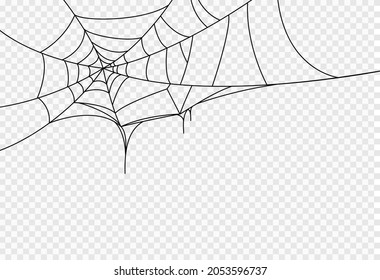 Halloween party background with spiderwebs isolated png or transparent texture,blank space for text,element template for poster,brochures, online advertising,vector illustration 