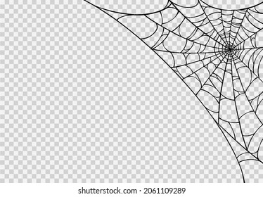 Halloween party background with spiderwebs isolated png or transparent texture,blank space for text,element template for poster,brochures, online advertising,vector illustration 