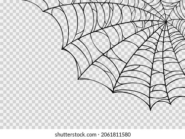 Halloween party background with spiderwebs isolated png or transparent texture,blank space for text,element template for poster,brochures, online advertising,vector illustration 