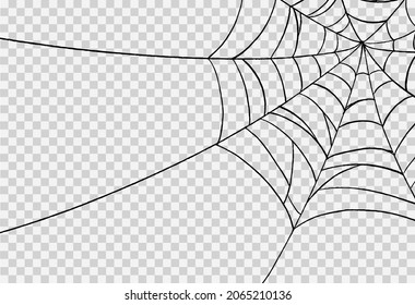 Halloween party background with spiderwebs isolated png or transparent texture,blank space for text,element template for poster,brochures, online advertising,vector illustration 