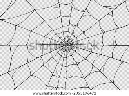 Halloween party background with spiderwebs isolated png or transparent texture,blank space for text,element template for poster,brochures, online advertising,vector illustration 