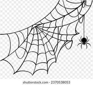 Halloween party background with spiderwebs and spider isolated png or transparent texture, blank space for text, element template for poster, brochures, online advertising, vector illustration 