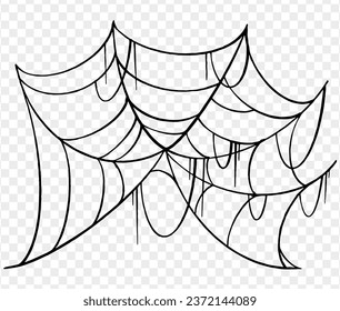 Halloween party background with spiderwebs and spider isolated png or transparent texture, blank space for text, element template for poster, brochures, online advertising, vector illustration 