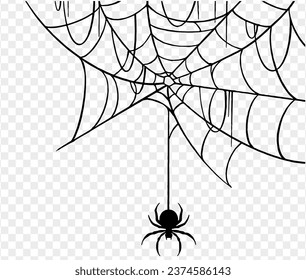 Halloween party background with spiderwebs and spider isolated png or transparent texture, blank space for text, element template for poster, brochures, online advertising, vector illustration 