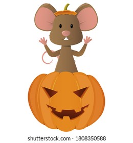 Halloween Party. Cute beautiful mouse in a pumpkin. Cartoon style isolate. Vector illustration for websites, flyers and prints.