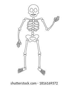 Halloween party illustration with human skeleton. Vector black and white skull and bones. Scary design for Autumn Samhain party. All saints day coloring page.
