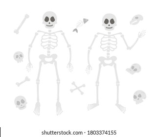 Halloween party illustration with human skeletons. Set of vector skulls and bones. Scary design for Autumn Samhain party. All saints day elements collection.
