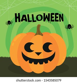 Halloween party. Pumpkin, bats and spiders. Halloween poster Vector illustration