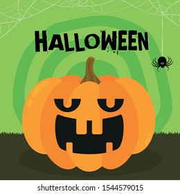 Halloween party. Pumpkin, bats and spiders. Halloween poster Vector illustration