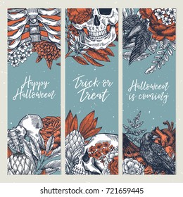 Halloween party vertical design templates. Vintage floral anatomy backgrounds. Vector illustration