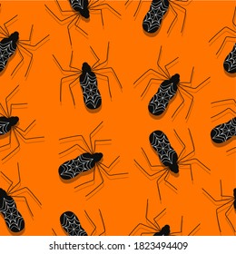 Halloween pattern black spiders on orange background