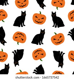 Halloween pattern with pumpkin and black cat. Halloween background with pumpkin and black cat