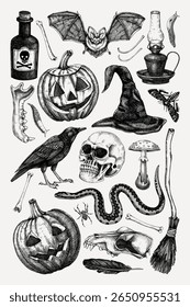 Halloween poster design template. Vintage wall art. Vector hand-drawn illustration for print. NOT AI generated