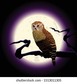 halloween poster owl on moon