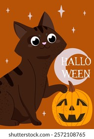 Halloween poster with spider. Cat play with pumpkin. International holiday of fear and horror. 31 october festival. Graphic element for website. Flat vector illustration