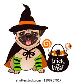 Halloween pug dog vector cartoon illustration  Cute chubby sitting pug puppy in witch costume and black hat   cape  cauldron trick treat bucket filled and candy  Funny Halloween for pets theme 