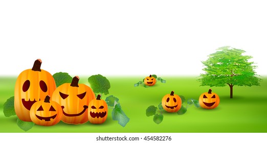 Halloween pumpkin autumn background