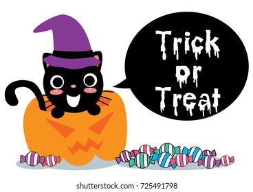 Halloween pumpkin and Black Cat and candy.Vector.
