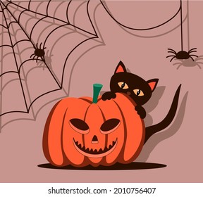 Halloween pumpkin. A black cat is hiding behind a pumpkin. Spiders on the walls with a dark shadow. Happy halloween illustration.