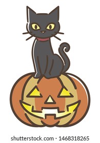 Halloween pumpkin and black cat on white background