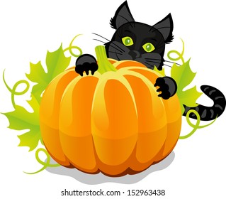 halloween pumpkin and black cat on a white background