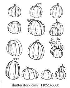 Halloween pumpkin by hand drawing.Set of pumpkin in halloween