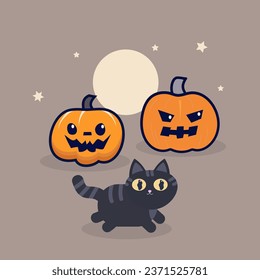 calabaza de halloween con gato