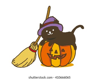 halloween pumpkin with cat
