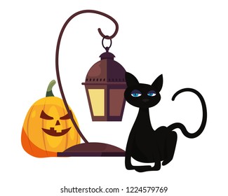 halloween pumpkin cat and lantern party
