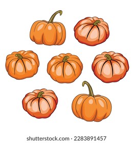 Halloween pumpkin. Cute Pumpkins or ghost. Vector autumn holidays illustration.