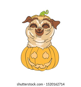 Halloween pumpkin. Cute puppies pug. Isolated vector object on a white background.
