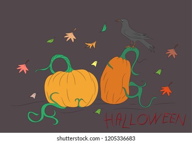 halloween pumpkin drawing color, vector, color background