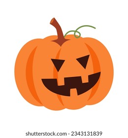 Halloween pumpkin with facial expression . Vector .