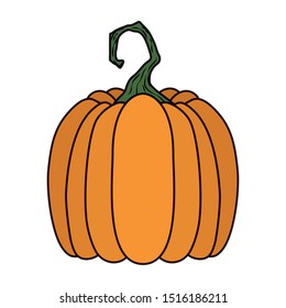 halloween pumpkin fruit seasonal icon vector illustration design