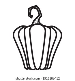 halloween pumpkin fruit seasonal icon vector illustration design