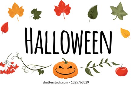 Halloween pumpkin funny face whith green red yellow leaf. Apple, berries, Rowan. Happy halloween.