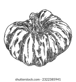 Halloween pumpkin or gourd. Celebrating Jack O Lantern pumpkin. Traditional Halloween harvest symbol and autumn holiday decor. Hand drawing sketch. Vector.
