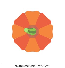 Halloween pumpkin with green stem top view, healthy organic autumn vegetable isolated cartoon flat vector illustration on white background.