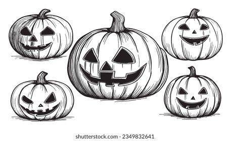Halloween pumpkin hand drawn sketch  Halloween pumpkin sketch vector  pumpkins for Halloween  Pumpkin paint white background 