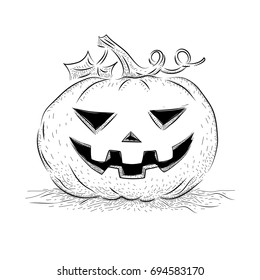 Halloween Pumpkin in Hand Drawn style, Illustration Sketch