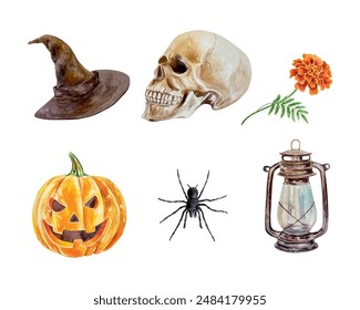 Halloween pumpkin, hat, skull, spider, lantern, flower, watercolor set. Vector illustration. For cards, invitations, banners, posters, covers, flyers.