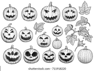 Halloween pumpkin head collection illustration, drawing, engraving, ink, line art, vector