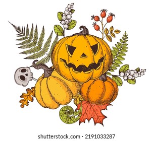 Halloween Pumpkin illustration. Hand drawn vector illustration. Jack o Lantern. Autumn bouquet. Vintage design for the holiday Halloween. Design elements