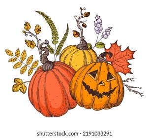 Halloween Pumpkin illustration. Hand drawn vector illustration. Jack o Lantern. Autumn bouquet. Vintage design for the holiday Halloween. Design elements