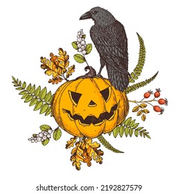 Halloween Pumpkin illustration. Hand drawn vector illustration. Jack o Lantern. Raven sitting on halloween pumpkin. Vintage design for the holiday Halloween. Design elements