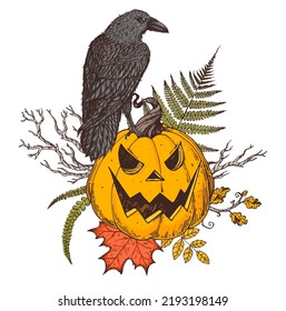 Halloween Pumpkin illustration. Hand drawn vector illustration. Jack o Lantern. Raven sitting on halloween pumpkin. Vintage design for the holiday Halloween. Design elements