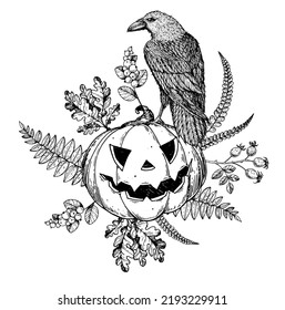 Halloween Pumpkin illustration. Hand drawn vector illustration. Jack o Lantern. Raven sitting on halloween pumpkin. Vintage design for the holiday Halloween. Design elements